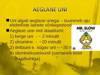 Aeglane ja kiire uni #3