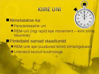 Aeglane ja kiire uni #4