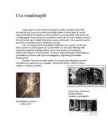 Uus maailmapilt
