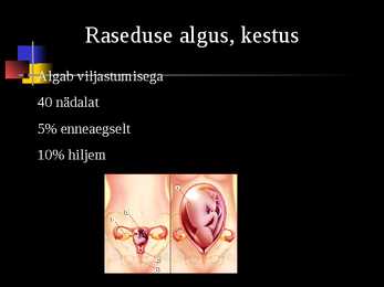 Raseduse kulg #3