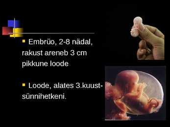 Raseduse kulg #7