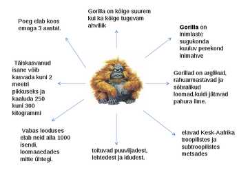 Gorilla