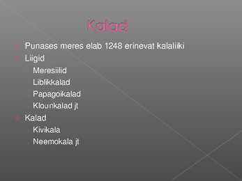 Punane meri #5