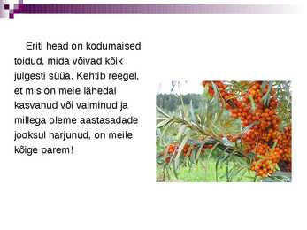 Funktsionaalne toit #12