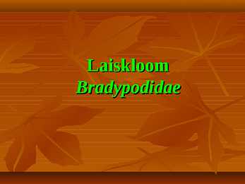 Laiskloom - referaat
