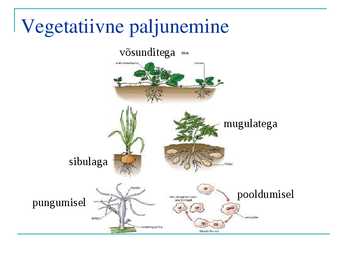 ORGANISMIDE PALJUNEMISVIISID #3