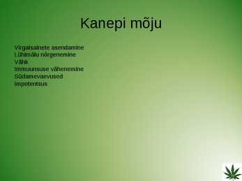 Slideesitlus-Kanep #6