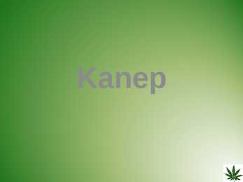 Slideesitlus-Kanep