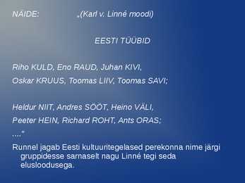 Hando Runnel-esitlus #11