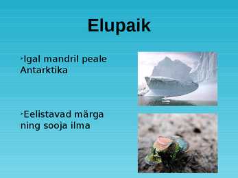 Sitasitikas #2