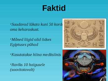 Sitasitikas #6