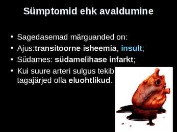 Ateroskleroos #3