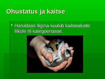 Lagrits #9