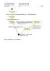 Deklareerimisprotsessi modelleerimine #11