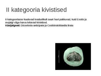 Kaitstavad seeneliigid ja kivistised #17