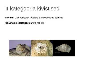 Kaitstavad seeneliigid ja kivistised #18