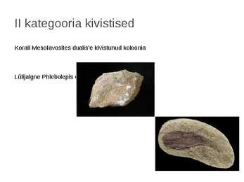 Kaitstavad seeneliigid ja kivistised #19