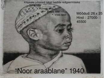 Eduard Viiralt- slaidid- #14