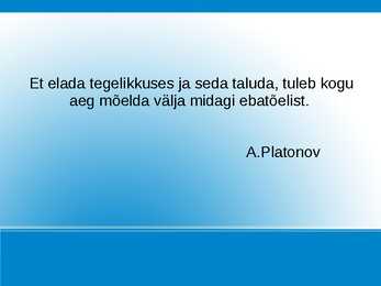 Andrei Platonov #8