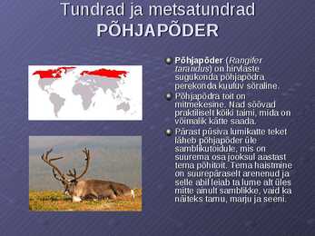 Loodusvööndite loomastik #3