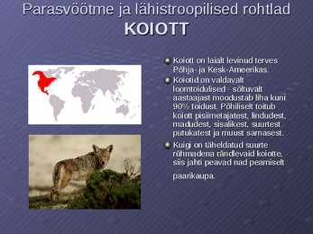 Loodusvööndite loomastik #5