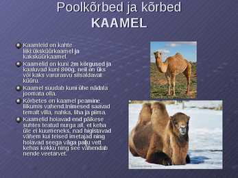 Loodusvööndite loomastik #6
