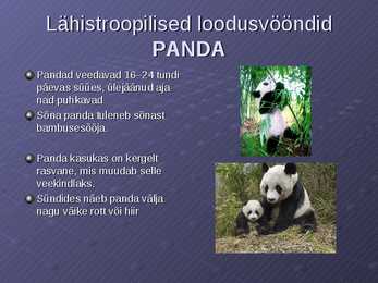 Loodusvööndite loomastik #7