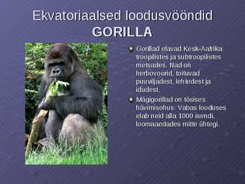 Loodusvööndite loomastik #8