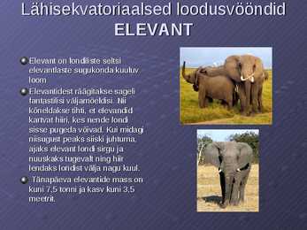 Loodusvööndite loomastik #9