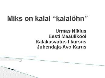 Uurimustöö Miks on kalal-kalalõhn