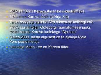 Luulereferaat - Doris Kareva #3