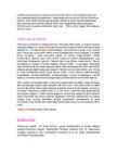 Motokross #6