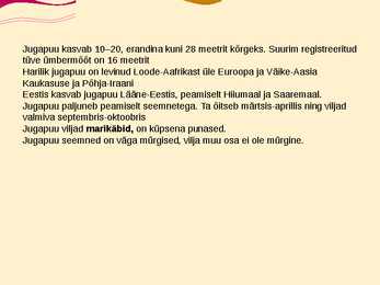 Teise kaitsekategooria looma ja taimeliigid-powepoint #13