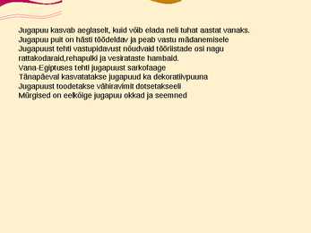 Teise kaitsekategooria looma ja taimeliigid-powepoint #14