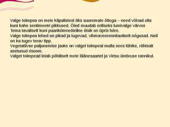 Teise kaitsekategooria looma ja taimeliigid-powepoint #17