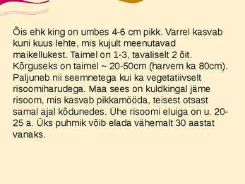 Teise kaitsekategooria looma ja taimeliigid-powepoint #19