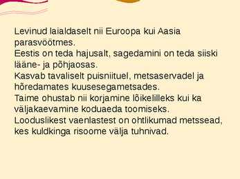 Teise kaitsekategooria looma ja taimeliigid-powepoint #20
