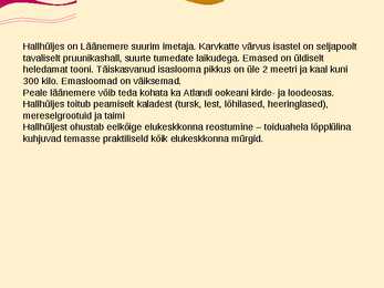 Teise kaitsekategooria looma ja taimeliigid-powepoint #4