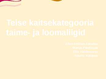 Teise kaitsekategooria looma ja taimeliigid-powepoint