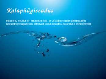 KALAPÜÜGISEADUS-powerpoint #2