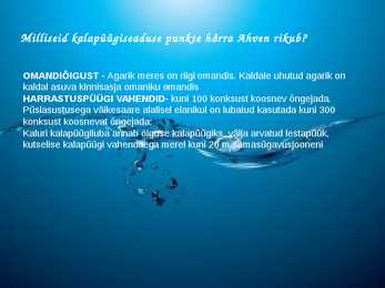 KALAPÜÜGISEADUS-powerpoint #4