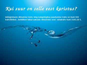 KALAPÜÜGISEADUS-powerpoint #6