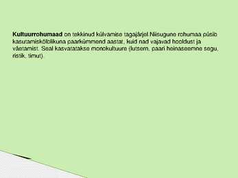 KULTUURROHUMAAD-Powerpoint #2
