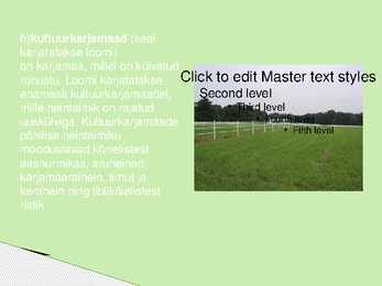 KULTUURROHUMAAD-Powerpoint #5