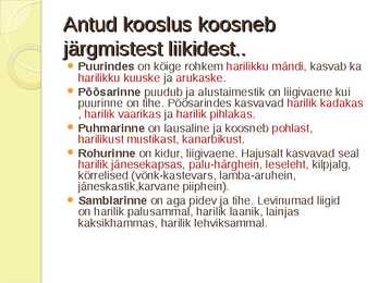 PALUMETS-powerpoint #2