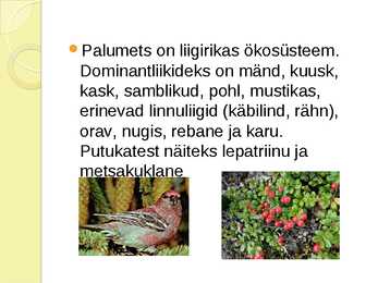 PALUMETS-powerpoint #3