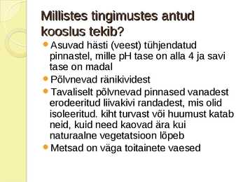 PALUMETS-powerpoint #4