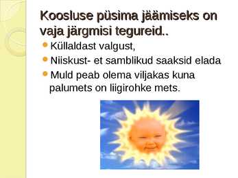 PALUMETS-powerpoint #5