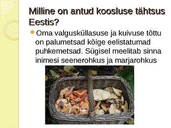 PALUMETS-powerpoint #8
