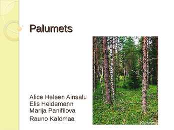 PALUMETS-powerpoint